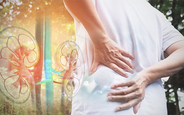 7 Tips Menjaga Ginjal Sehat di Lingkungan Kerja 7 Tips Menjaga Ginjal Sehat di Lingkungan Kerja