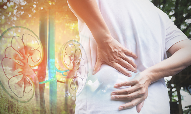 7 Tips Menjaga Ginjal Sehat di Lingkungan Kerja 7 Tips Menjaga Ginjal Sehat di Lingkungan Kerja