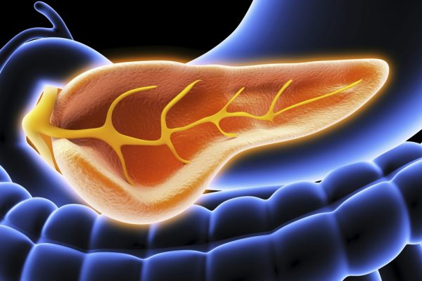 10 Tips Mengatur Asupan Lemak agar Tidak Merusak Pankreas 10 Tips Mengatur Asupan Lemak agar Tidak Merusak Pankreas